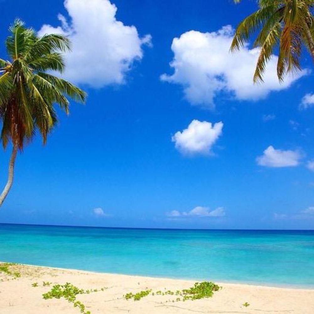 Meet your Posher, Yolanda